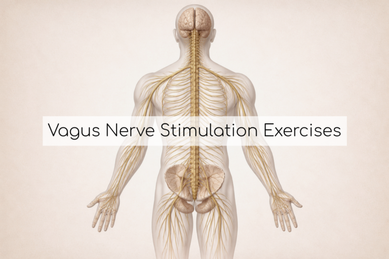 Your Nervous System Regulation Guide: Vagus Nerve Stimulation