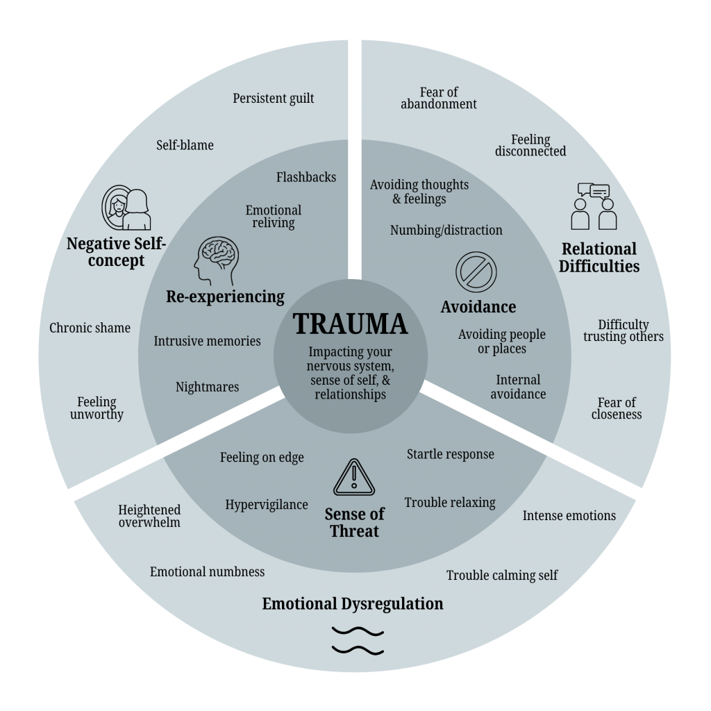 17 symptoms of complex PTSD, evidence based research shows the 6 core clusters of CPTSD symptoms